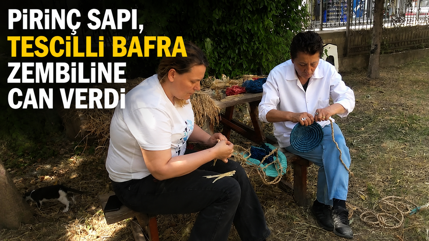 Pirinç Sapı, Tescilli Bafra Zembiline Can Verdi
 - Samsun’da coğrafi işaretli Bafra zembilinin üretiminde değerlendirilen pirinç sapı hem geleneksel el sanatlarının yaşatılmasına hem de kadınların ekonomik kazanç elde etmesine katkı sunuyor.