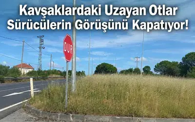 Samsun-sinop Karayolunda Refüjlerdeki Otlar Trafik Güvenliğini Tehdit Ediyor