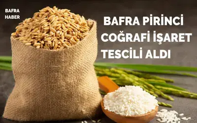 Bafra Pirinci Coğrafi İşaret Tescili Aldı