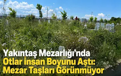 Yakıntaş Mezarlığı’nda Otlar İnsan Boyunu Aştı: Mezar Taşları Görünmüyor