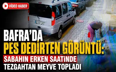 Bafra’da Pes Dedirten Görüntü: Sabahın Erken Saatinde Tezgahtan Meyve Topladı