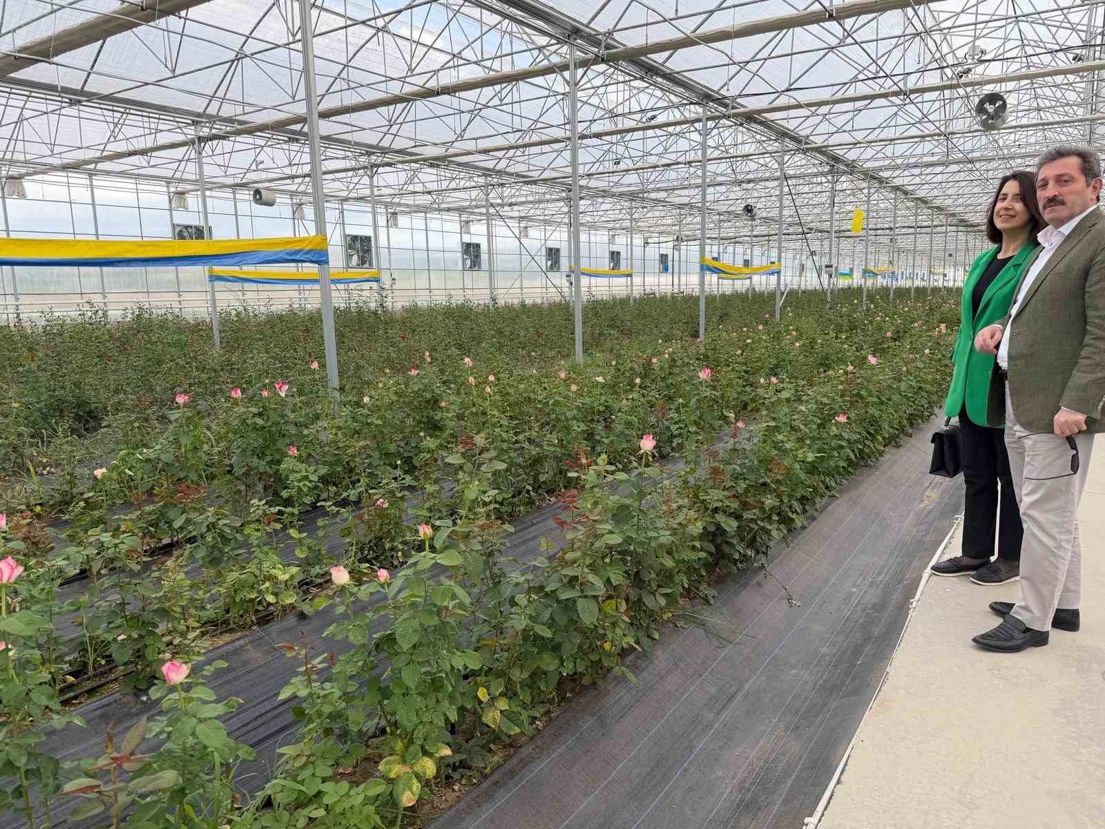 Bafra’da Sera Yatırımları Artıyor
