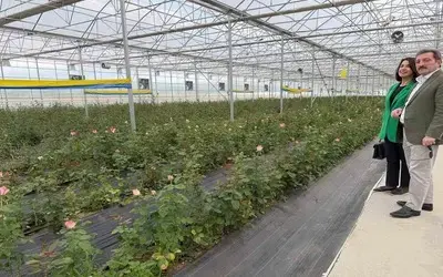 Bafra’da Sera Yatırımları Artıyor
