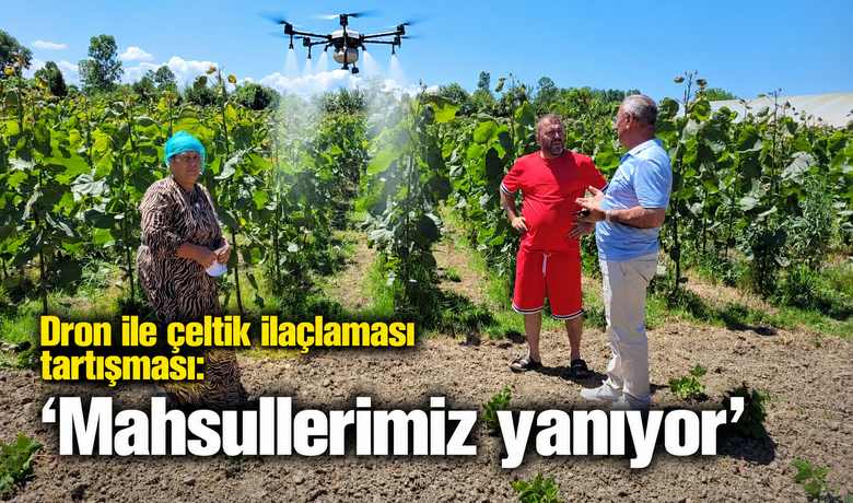 "dron İle Çeltikİlaçlaması" Tartışması: "mahsullerimiz Yanıyor"