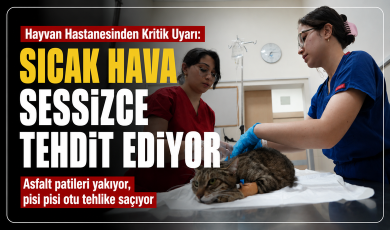 Asfalt Patileri Yakıyor, Pisi Pisi OtuTehlike Saçıyor: Uzmanından Sıcak Hava Uyarısı