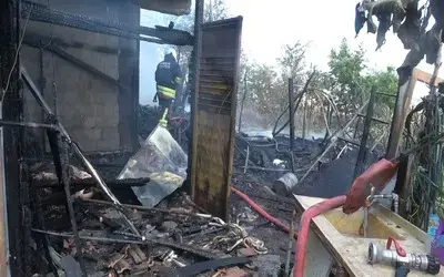 Bafra’da Bağ Evi Alevlere Teslim Oldu: 1 Büyükbaş Hayvan Telef Oldu
