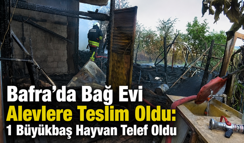 Bafra’da Bağ Evi Alevlere TeslimOldu: 1 Büyükbaş Hayvan Telef Oldu