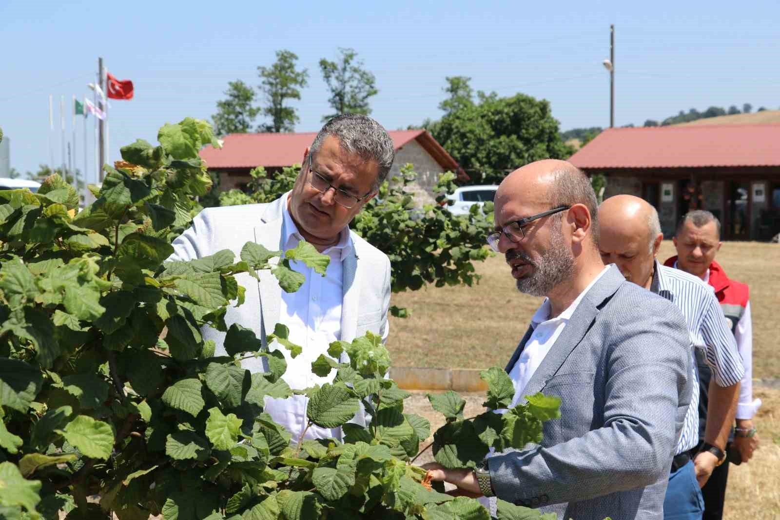 Samsun’da Tarımsal ÜretimÇalışmaları Yerinde İncelendi
