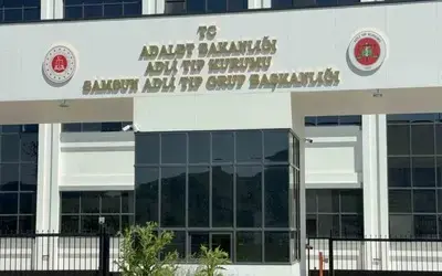 Ihlamur Ağacından Düşen Yaşlı Adam Hayatını Kaybetti
