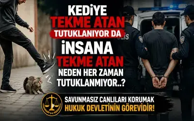 Kediye Tekme Atan Tutuklanıyor Da İnsana Tekme Atan Neden Her Zaman Tutuklanmıyor? 