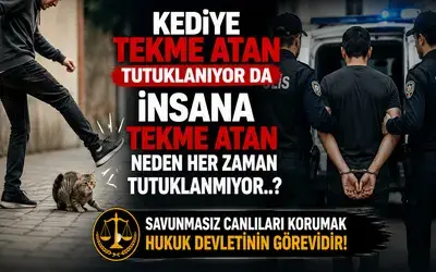 Kediye Tekme Atan Tutuklanıyor Da İnsana Tekme Atan Neden Her Zaman Tutuklanmıyor? 