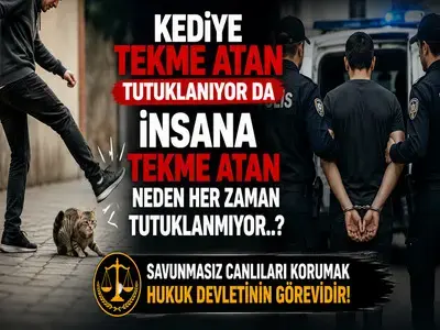 Kediye Tekme Atan Tutuklanıyor Da İnsana Tekme Atan Neden Her Zaman Tutuklanmıyor? 