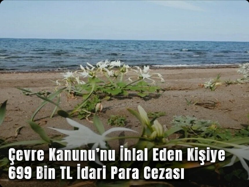 Çevre Kanunu’nu İhlal Eden Kişiye 699 Bin TL İdari Para Cezası
