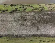 Samsun Tabiat Parklarına Ziyaretçi Akını