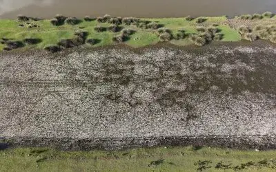 Samsun Tabiat Parklarına Ziyaretçi Akını