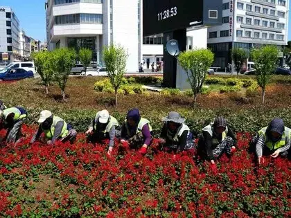 Kadınların Emeğiyle Samsun Çiçek Açıyor