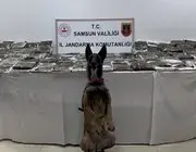 Samsun’da Tıra Gizlenmiş 132 Kilo Toz Esrar Ele Geçirildi