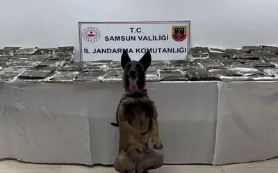 Samsun’da Tıra Gizlenmiş 132 Kilo Toz Esrar Ele Geçirildi