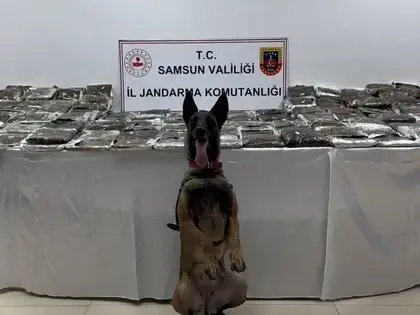 Samsun’da Tıra Gizlenmiş 132 Kilo Toz Esrar Ele Geçirildi