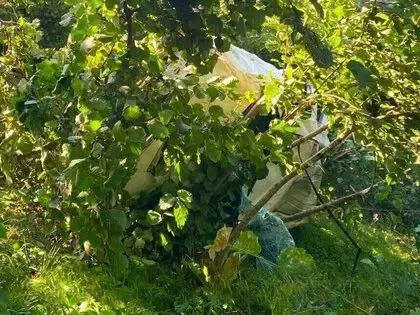 Giresun’da Kamyonet Fındık Bahçesine Devrildi: 1 Ölü