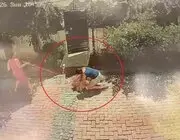 Samsun’da Pitbull Dehşeti: Küçük Kızı Yere Savurdu, Köpeğini İse Ağır Yaraladı