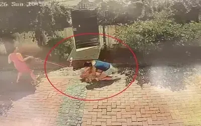 Samsun’da Pitbull Dehşeti: Küçük Kızı Yere Savurdu, Köpeğini İse Ağır Yaraladı