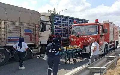 Tavuk Yüklü Tır, Önündeki Kamyona Çarptı: 2 Yaralı