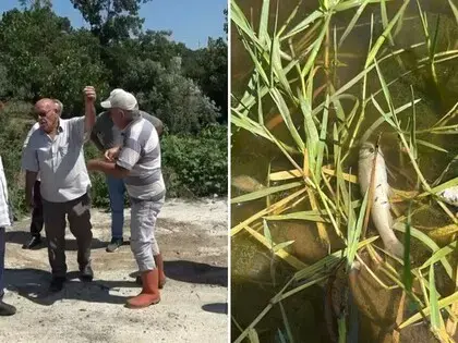 Balık Ölümlerine Sebep Olan Tesise 839 Bin TL Ceza