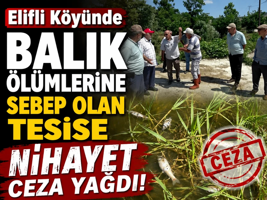 Balık Ölümlerine Sebep Olan Tesise 839 Bin TL Ceza