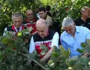 Ordu’da Fındık Hasadı Resmi Olarak Başladı