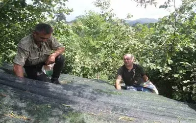 Devlet Desteği İle File Sistemine Geçtiler, Fındıkta İşçilik Maliyetini Yüzde 80 Azalttılar