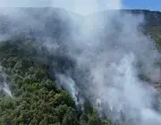 Sinop’ta Orman Yangını