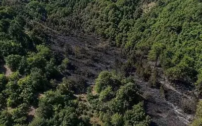 Sinop’taki Orman Yangını Kontrol Altına Alındı