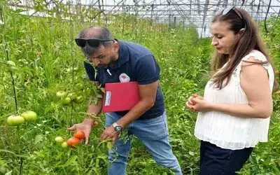Tarım Projeleri Meyvelerini Vermeye Başladı