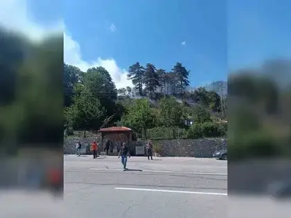 Sinop’taki Orman Yangınıyla İlgili 1 Kişi Gözaltında