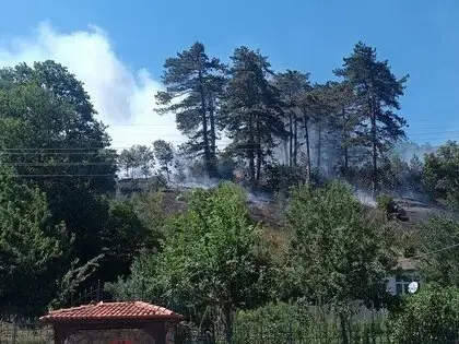 Sinop’taki Orman Yangınıyla İlgili 1 Kişi Tutuklandı