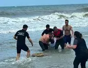 Ordu’da Yasağa Rağmen Denize Giren 2 Kardeş Boğulma Tehlikesi Geçirdi