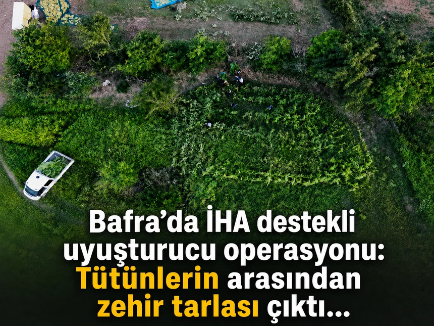 Polis Havadan İz Sürdü: Tütünlerin Arasında 502 Kök Kenevir Ele Geçti