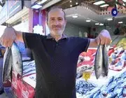 Yıllardır Böylesi Görülmedi: Karadeniz’den Palamut Fışkırıyor