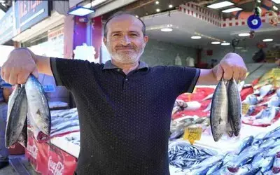Yıllardır Böylesi Görülmedi: Karadeniz’den Palamut Fışkırıyor