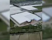 Bafra’da 63 Bin Metrekarelik Alanda Topraksız Tarım Yatırımları Üretime Başladı