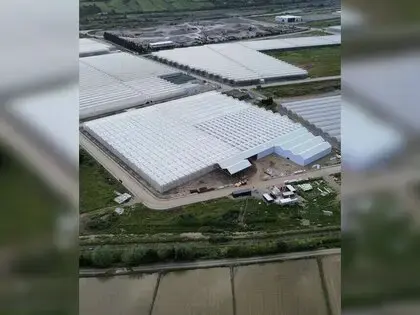 Bafra’da 63 Bin Metrekarelik Alanda Topraksız Tarım Yatırımları Üretime Başladı