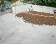 Ordu’da Patpat Kazası: 1 Ölü