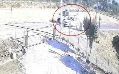 Kamyoneti Sollayan Otomobil Başıboş Sokak Köpeğine Çarptı: O Anlar Kamerada