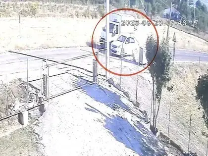 Kamyoneti Sollayan Otomobil Başıboş Sokak Köpeğine Çarptı: O Anlar Kamerada
