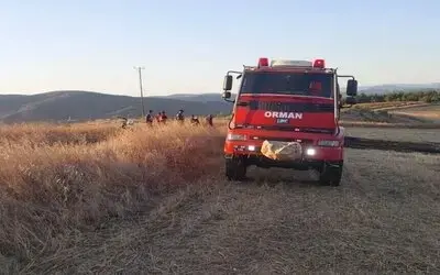 Sinop’ta Anız Yangını Korkuttu