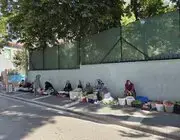 Boyu Küçüldükçe Fiyatı Artıyor