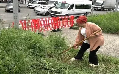 Şehir Merkezinde Tırpanla Geçim Mücadelesi