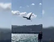 Balıkçıl Kuşu Vatandaşların İlgi Odağı Oldu
