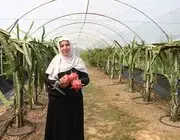 ’Burada Yetişmez’ Diyenlere İnat Üretime Başladı, 1 Tonun Üzerinde Ürün Bekliyor